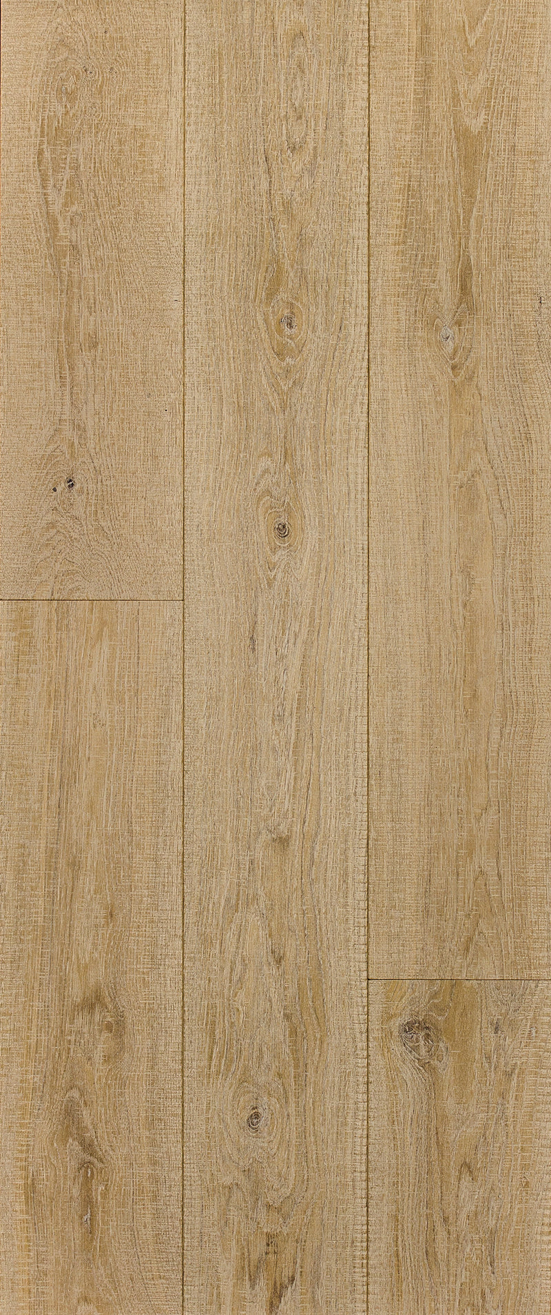 REDORTA