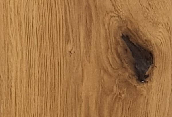 Shrunk Oak - Himalaya